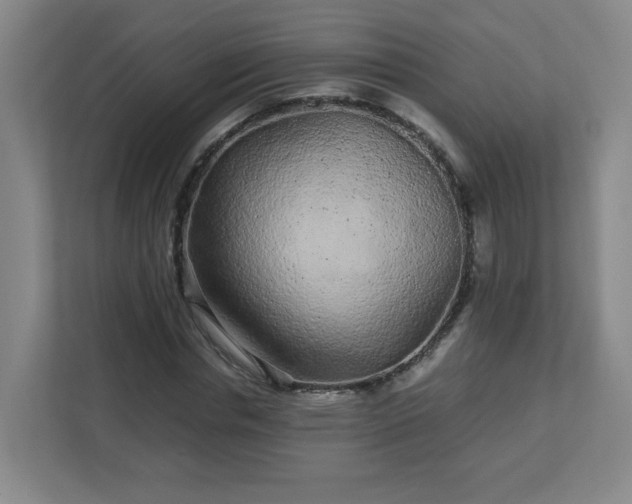 X0000113040826200909031310