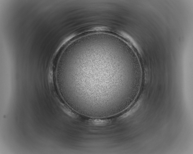 X0000113040827200909031310