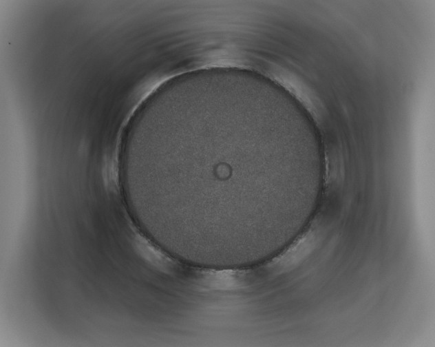 X0000113040828200909031310