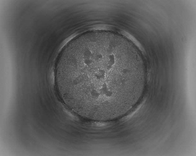 X0000113040829200909031310