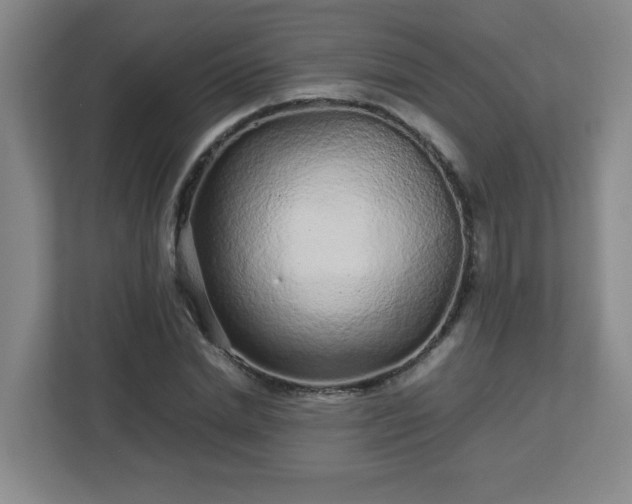 X0000113040830200909031310