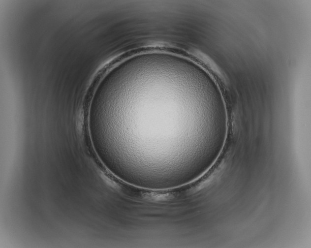 X0000113040831200909031310