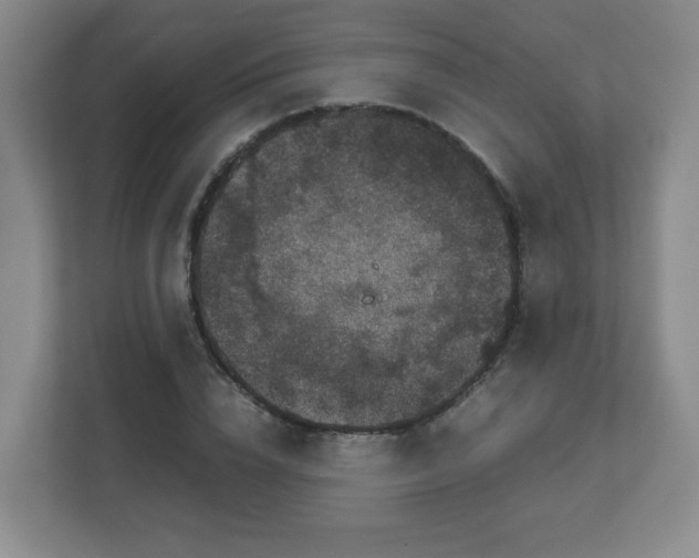 X0000113040832200909031310