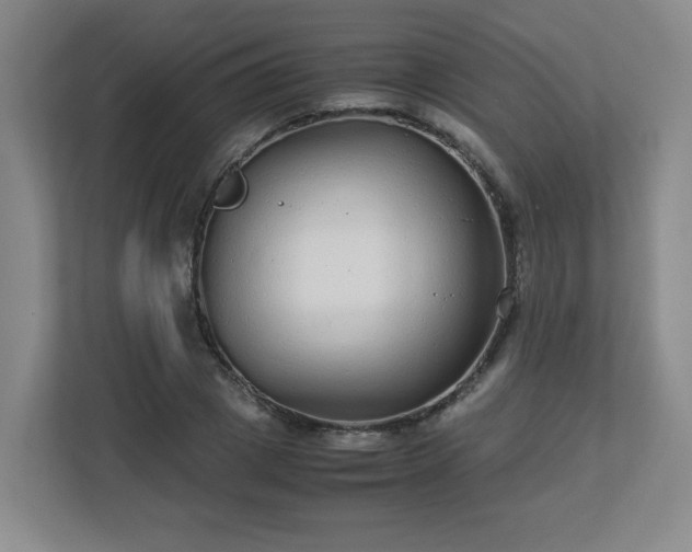 X0000113040833200909031310