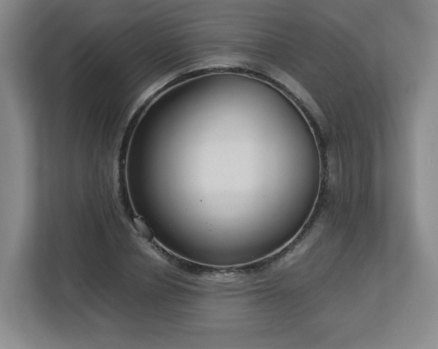 X0000113040834200909031310