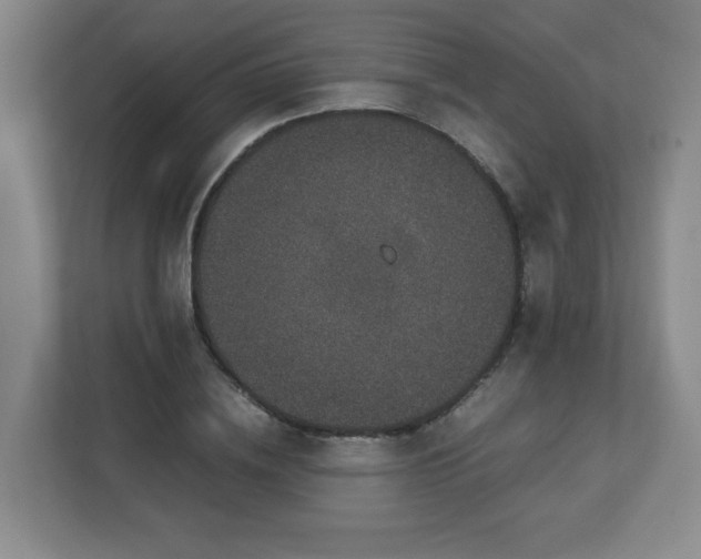 X0000113040836200909031310