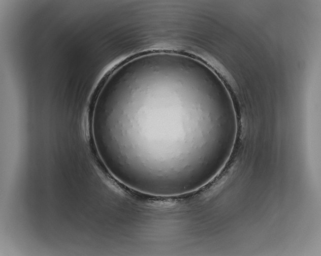 X0000113040838200909031310