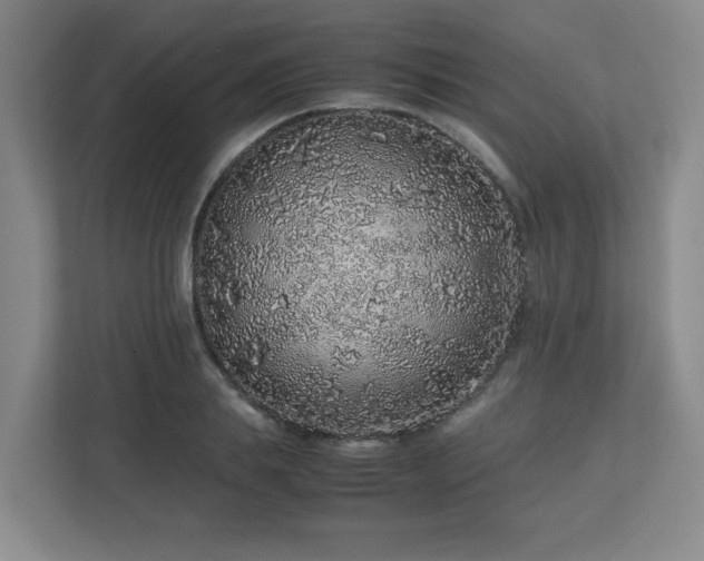 X0000113040839200909031310