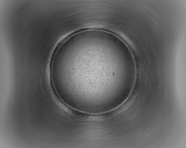 X0000113040840200909031310