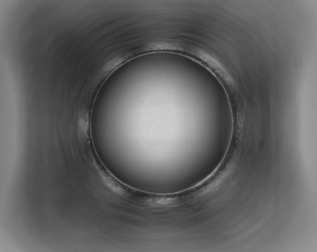 X0000113040841200909031310