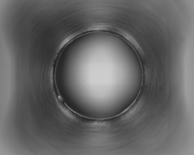 X0000113040842200909031310