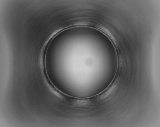 X0000113040843200909031310