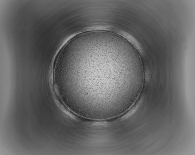 X0000113040844200909031310