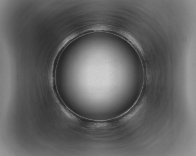 X0000113040845200909031310