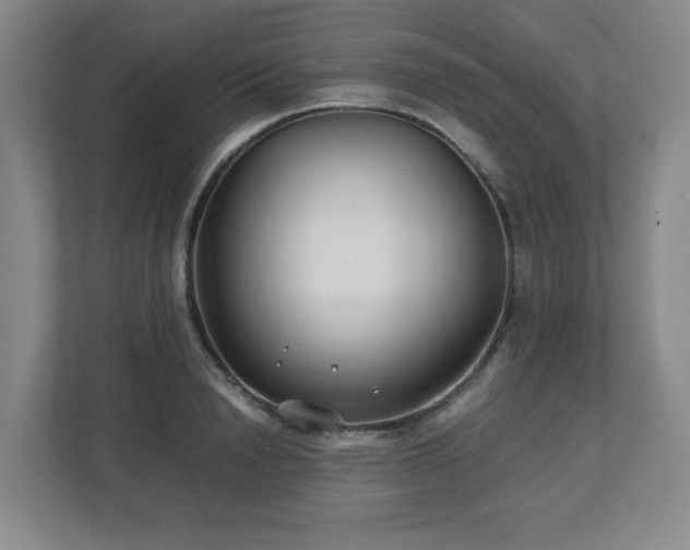 X0000113040846200909031310