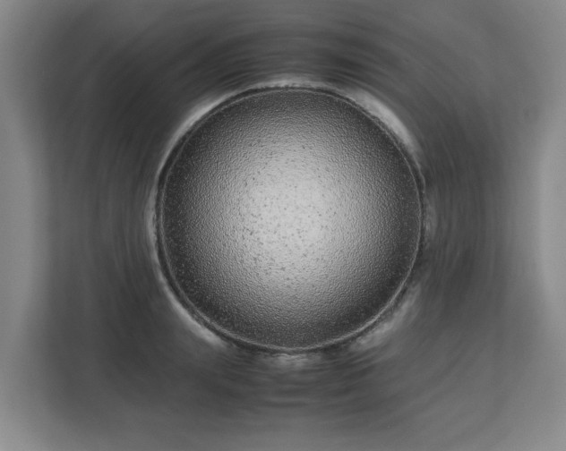 X0000113040847200909031310