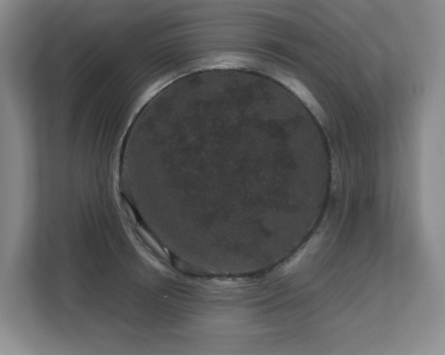 X0000113040850200909031310