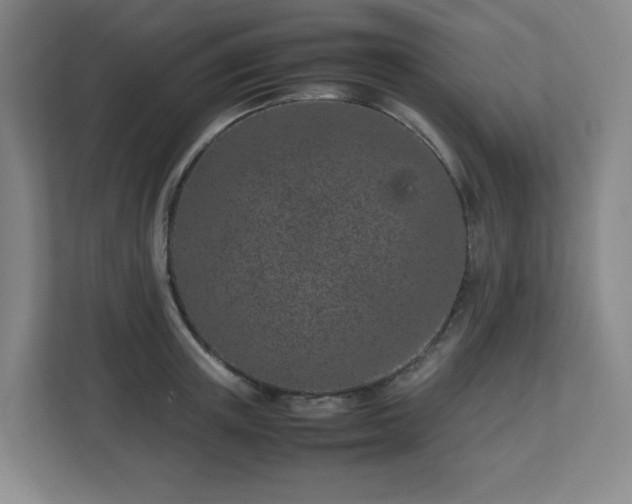 X0000113040851200909031310