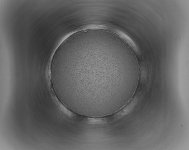 X0000113040852200909031310