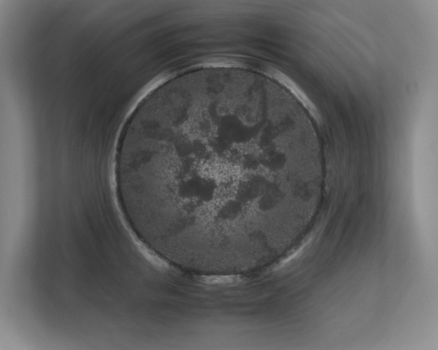 X0000113040853200909031310