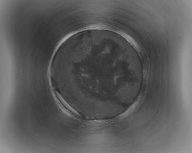 X0000113040854200909031310