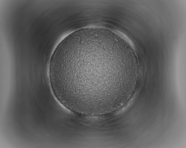 X0000113040855200909031310