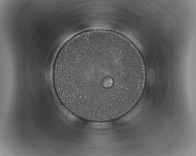 X0000113040856200909031310