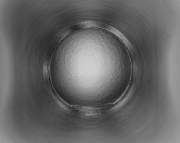 X0000113040857200909031310