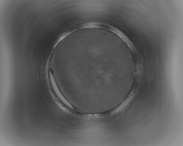 X0000113040858200909031310