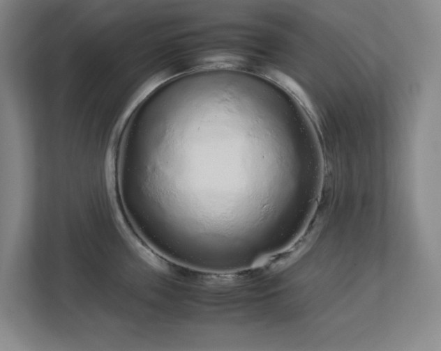 X0000113040859200909031310