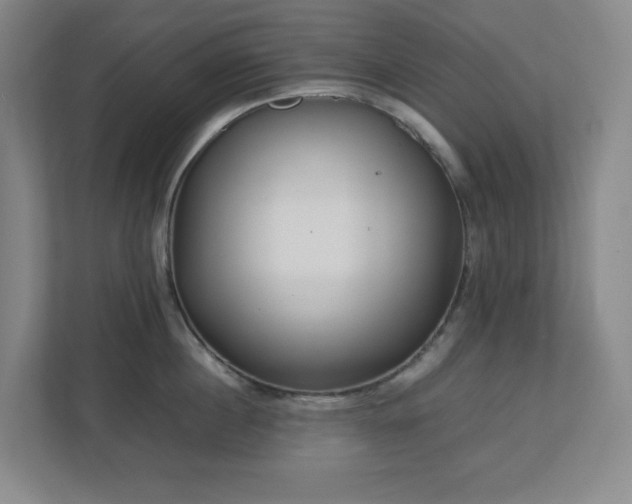 X0000113040860200909031310