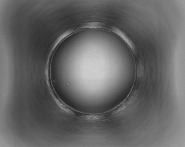 X0000113040861200909031310