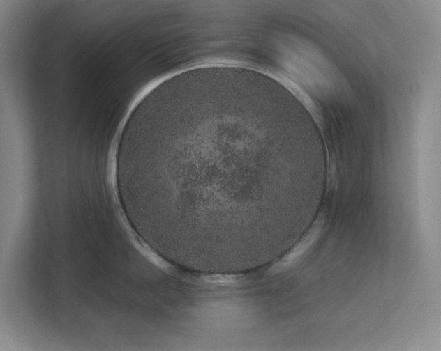 X0000113040862200909031310