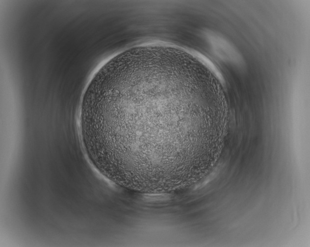 X0000113040863200909031310