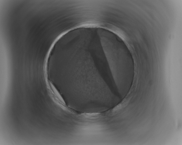 X0000113040864200909031310