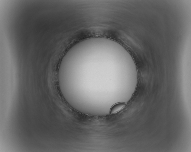 X0000113040865200909031310