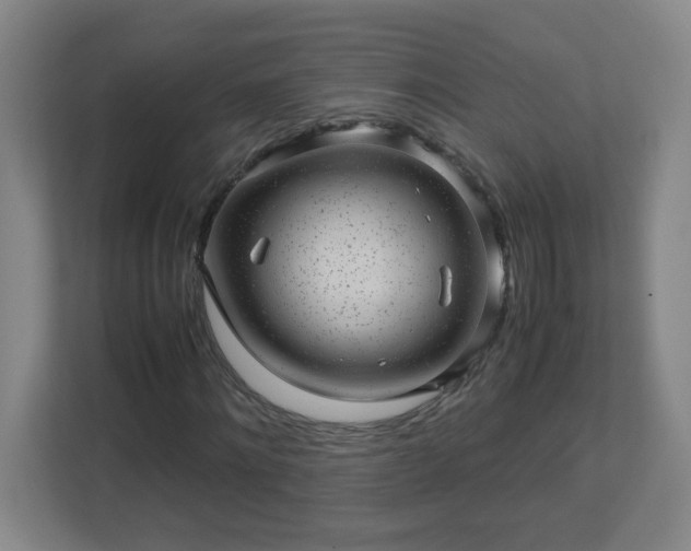 X0000113040868200909031310