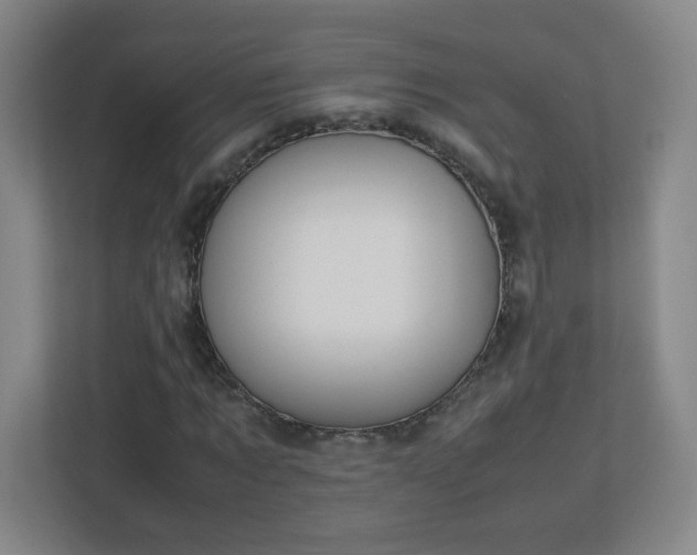 X0000113040869200909031310