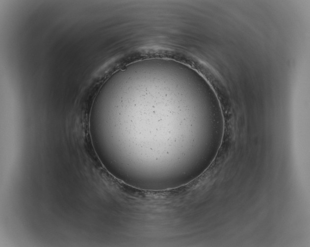 X0000113040870200909031310