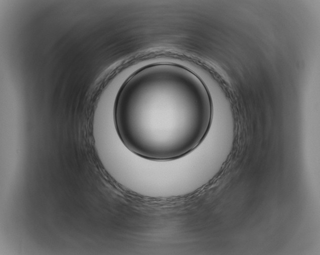 X0000113040872200909031310