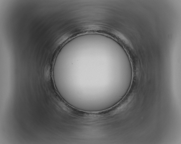 X0000113040873200909031310