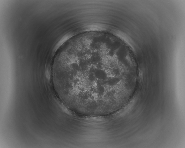 X0000113040874200909031310