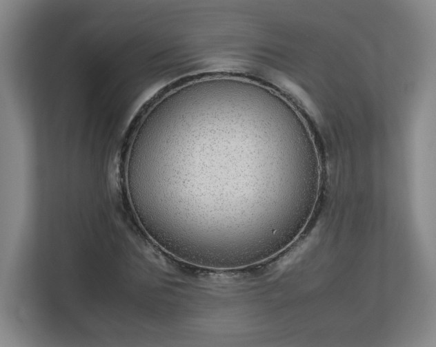 X0000113040875200909031310