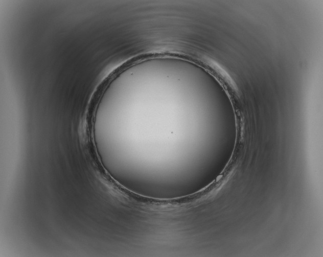 X0000113040876200909031310