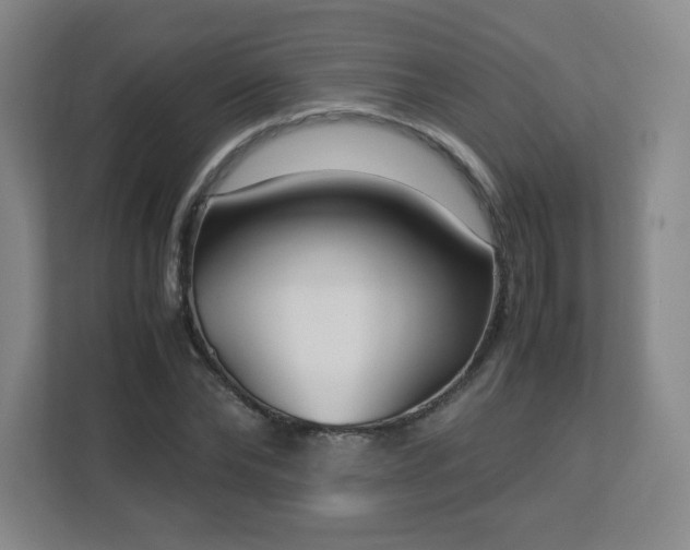 X0000113040878200909031310