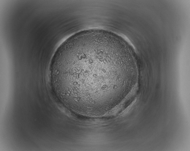 X0000113040879200909031310