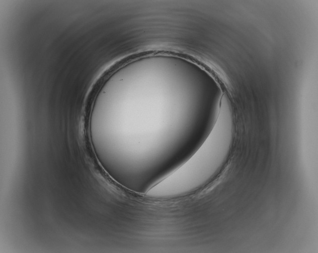 X0000113040880200909031310