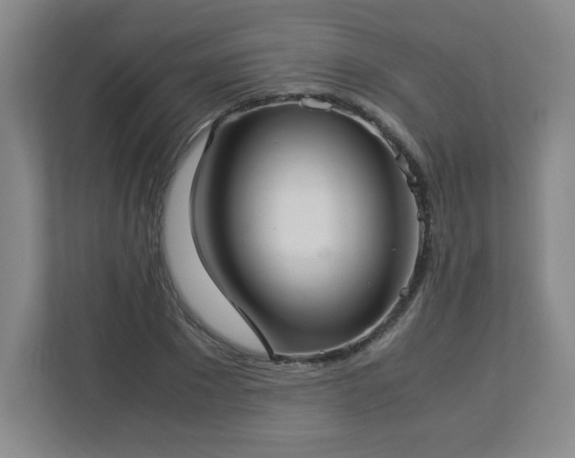 X0000113040881200909031310