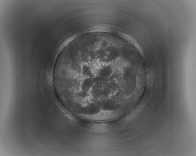 X0000113040882200909031310