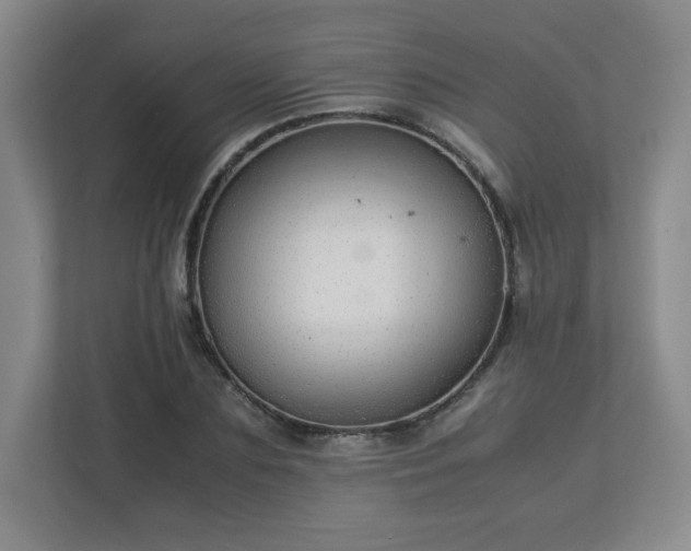 X0000113040883200909031310